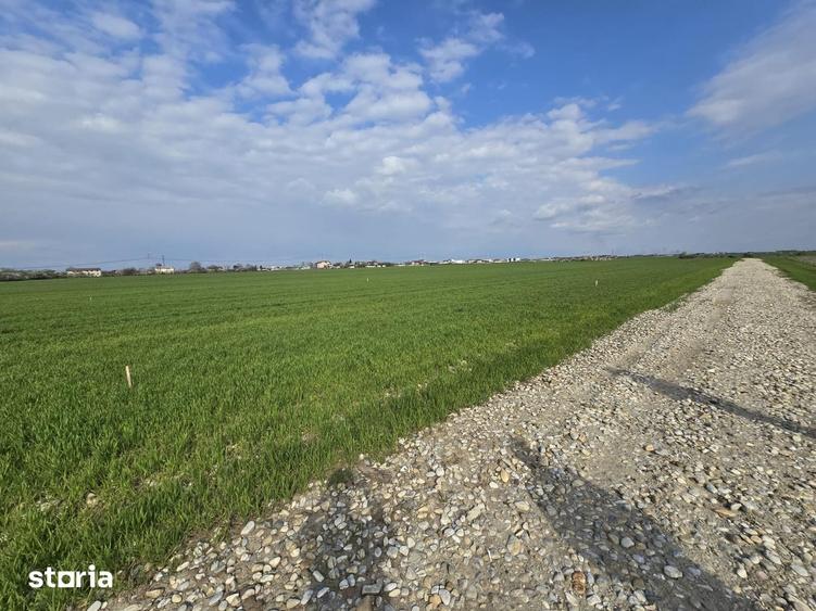 Teren de 540 mp, în Frumușani