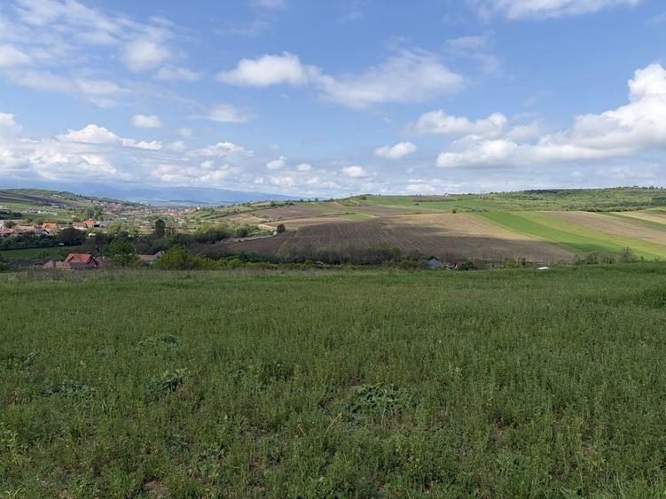 Teren de 2500 mp, în Șura Mare