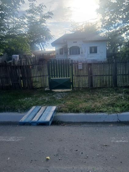Casă cu 3 camere în Vedea