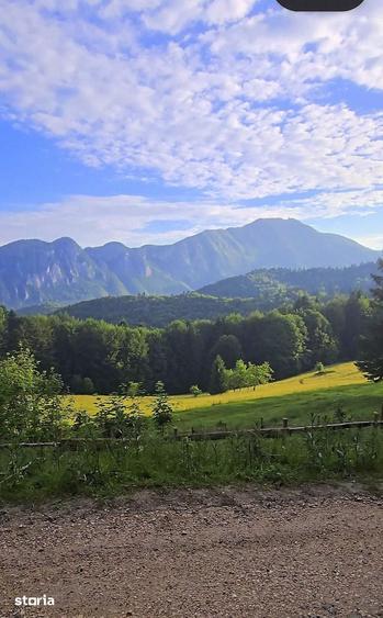 Teren de 2650 mp, în Central