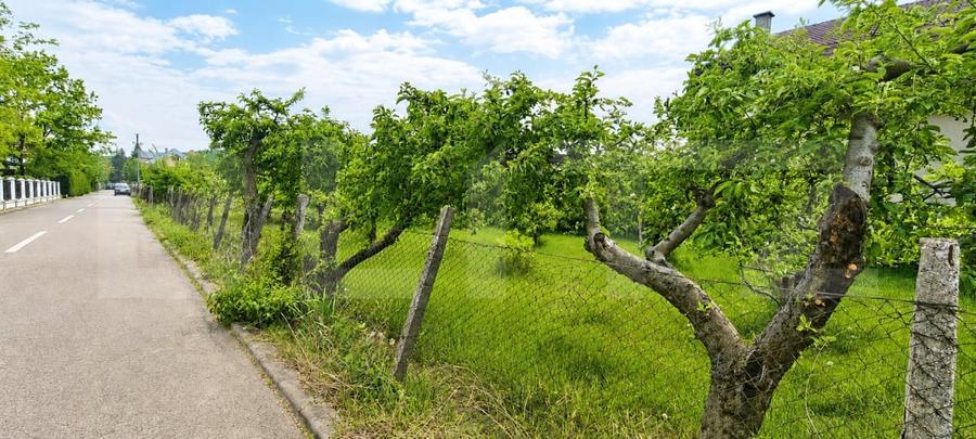 Teren intravilan 600 mp - Calea Moldovei| Ideal pentru construcția casei tale - 1
