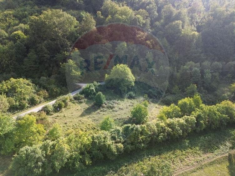Teren Construcții de 5000 mp, în Măgureni