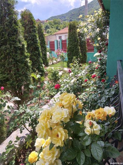 Casă cu 5 camere cu Teren 604 Mp în Dubova
