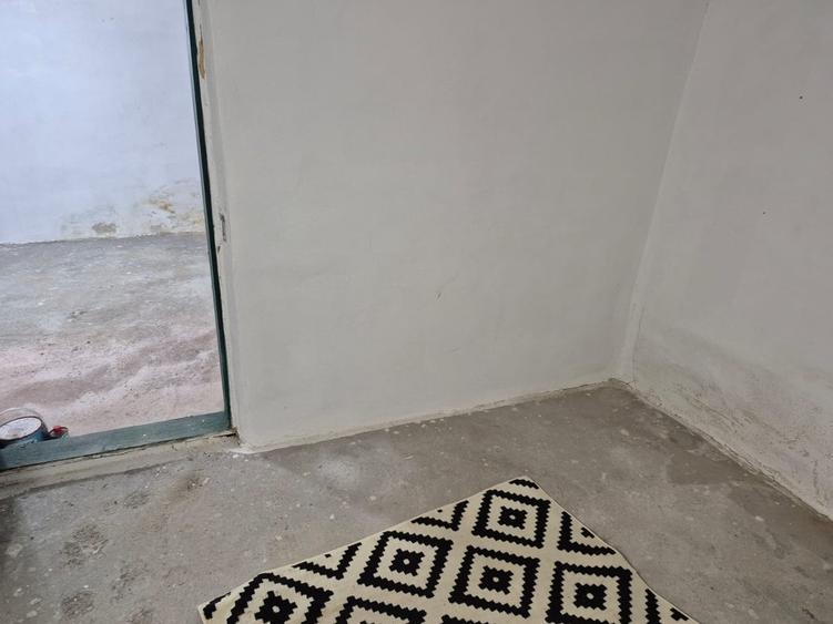 Casă cu 4 camere cu Teren 8000 Mp în Pruni