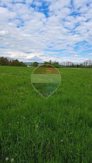 Teren agricol extravilan de 5700 mp, în Colun