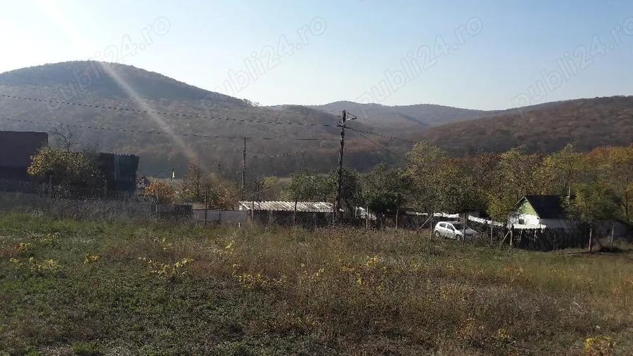Teren de 1500 mp, în Telița