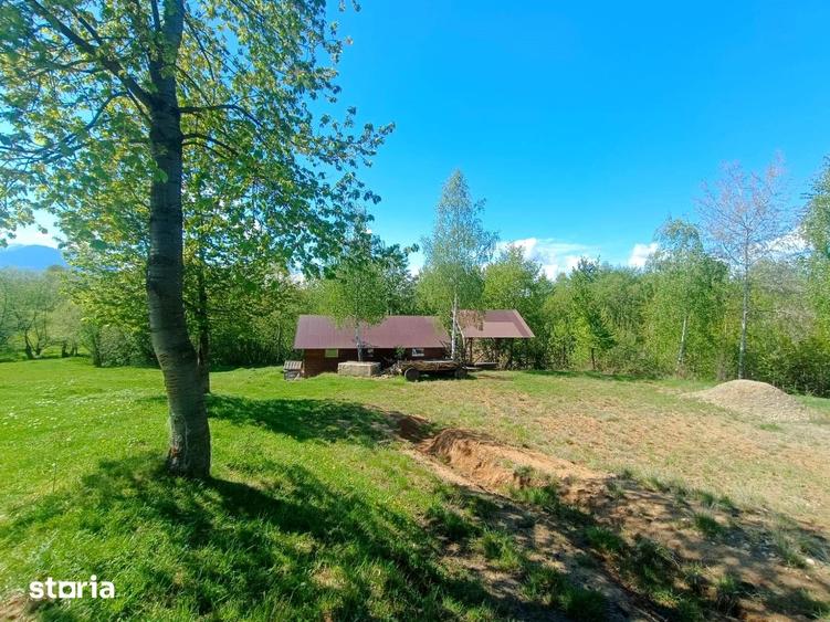 Teren de 5967 mp, în Glăjărie