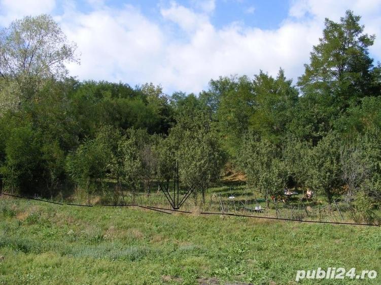 Teren de 2070 mp, în Vârfuri