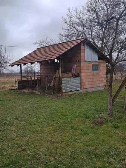 Casă cu 2 camere cu Teren 1950 Mp în Gothatea