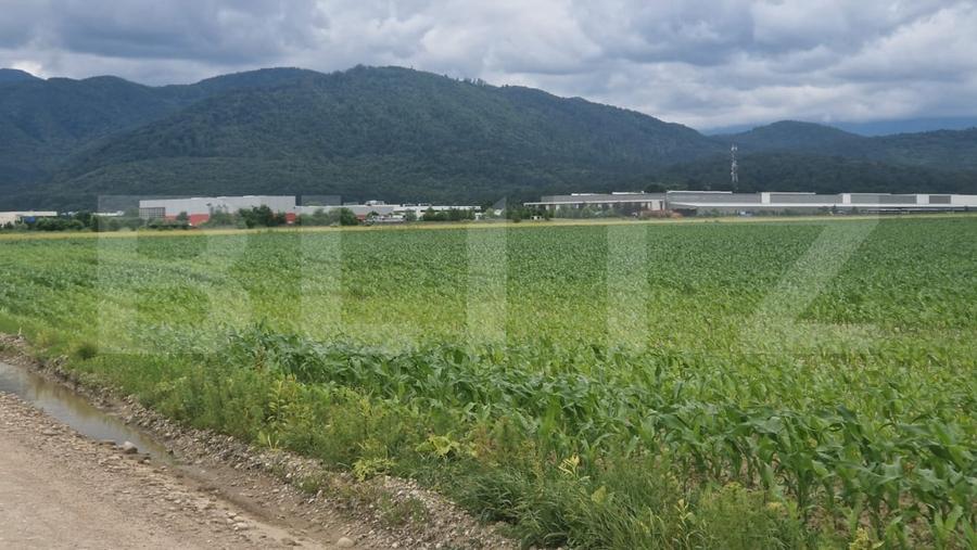 Teren agricol extravilan de 12000 mp, în Ghimbav