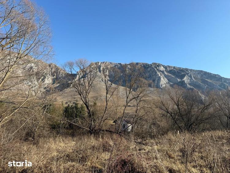 Teren de 1250 mp, în Râmeț