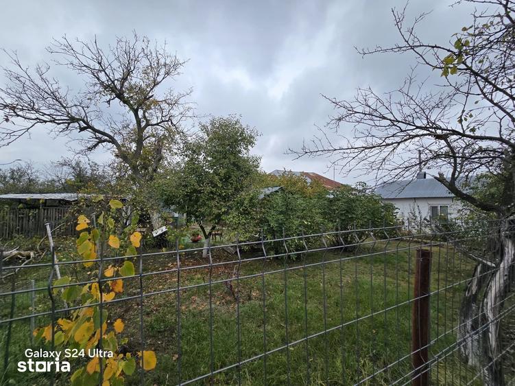 Casă cu 5 camere cu Teren 3000 Mp în Trivalea-Moșteni