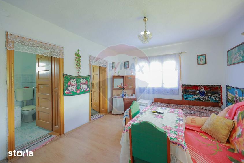 Casă cu 5 camere cu Teren 55706 Mp în Șinteu