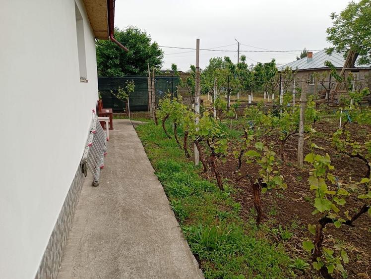 Casă individuală cu 3 camere cu Canalizare în Tulucești