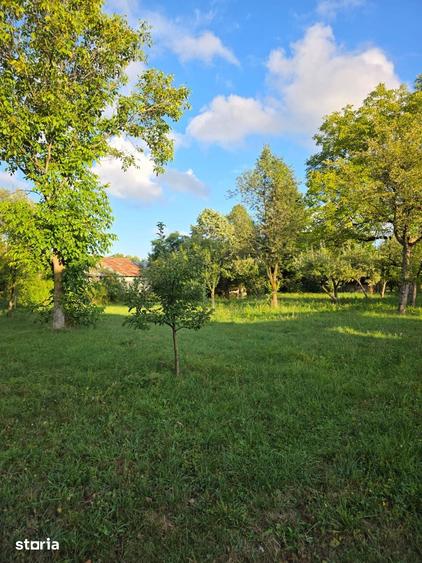 Teren de 2500 mp, în Central