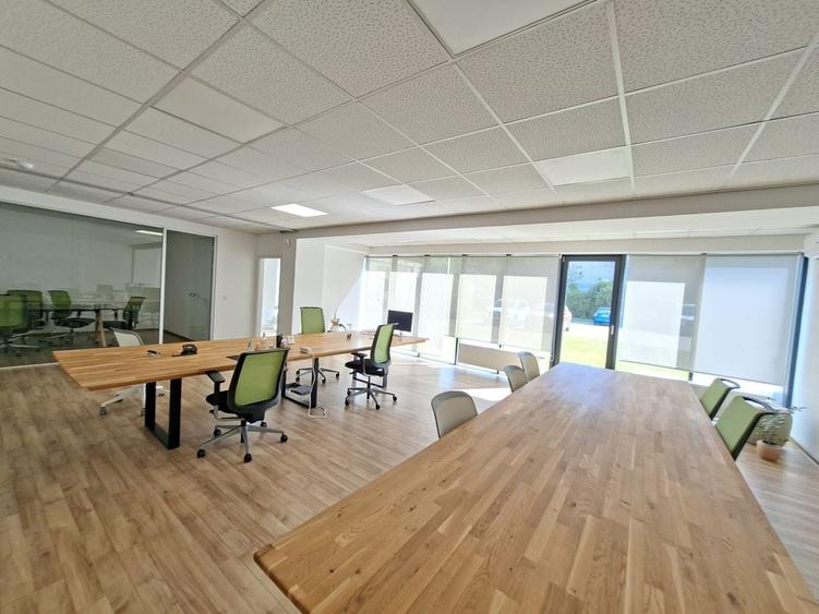 Birou, de 160.19000244141 mp, în Elisabetin