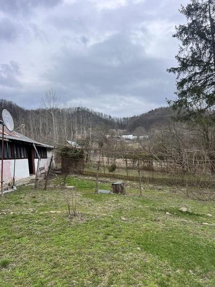 Casă cu 4 camere în Buda