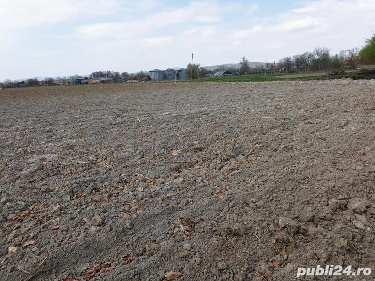 Teren de 5000 mp, în Bretea Mureșană