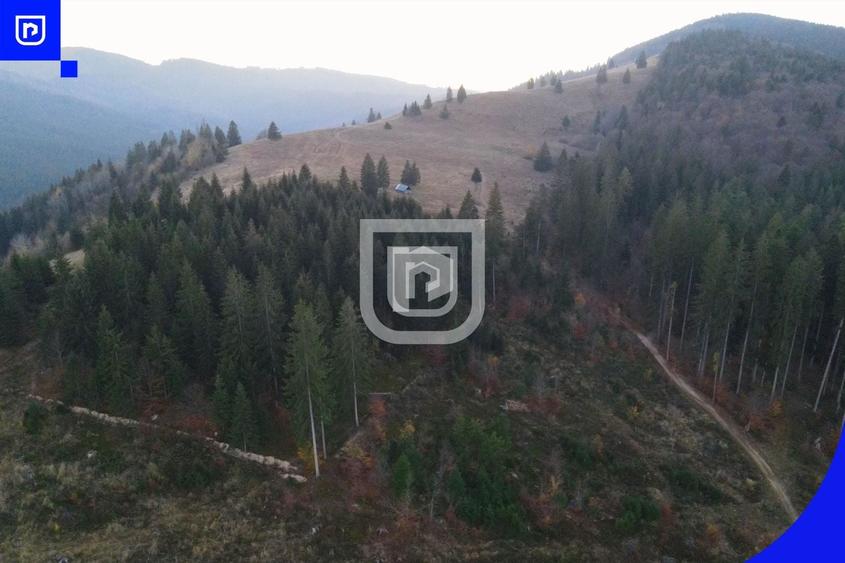 Teren extravilan de 3139 mp, în Vest