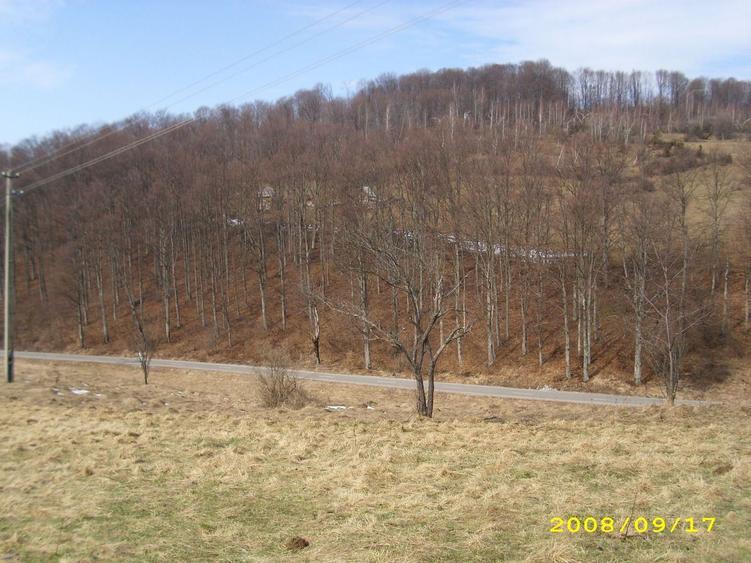 Teren Construcții intravilan de 12000 mp, în Roșia