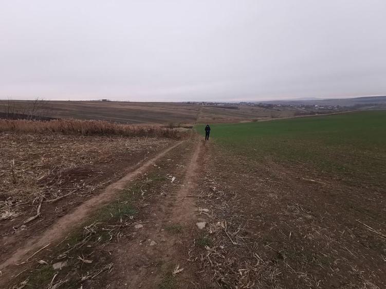 Teren agricol intravilan în Periferie