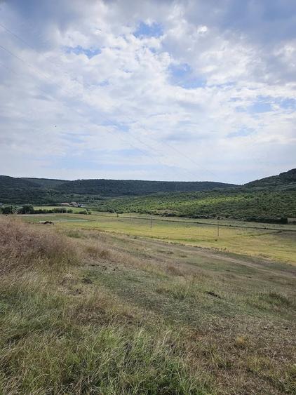 Teren de 7200 mp, în Crețești