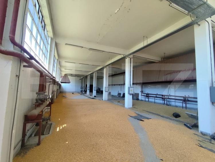 Teren Construcții intravilan de 32000 mp, în Răducăneni