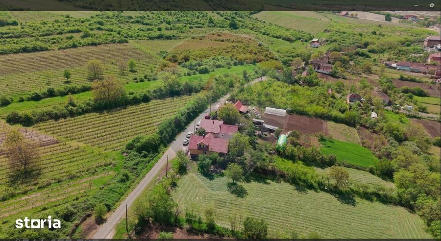 Teren de 3225 mp, în Șiria