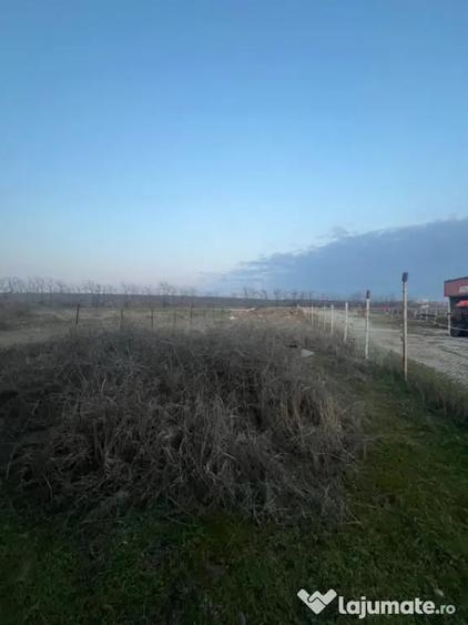 Casă cu 7 camere cu Teren 500 Mp în Bariera Vâlcii