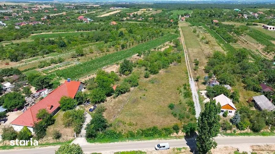 Teren de 3000 mp, în Dănești