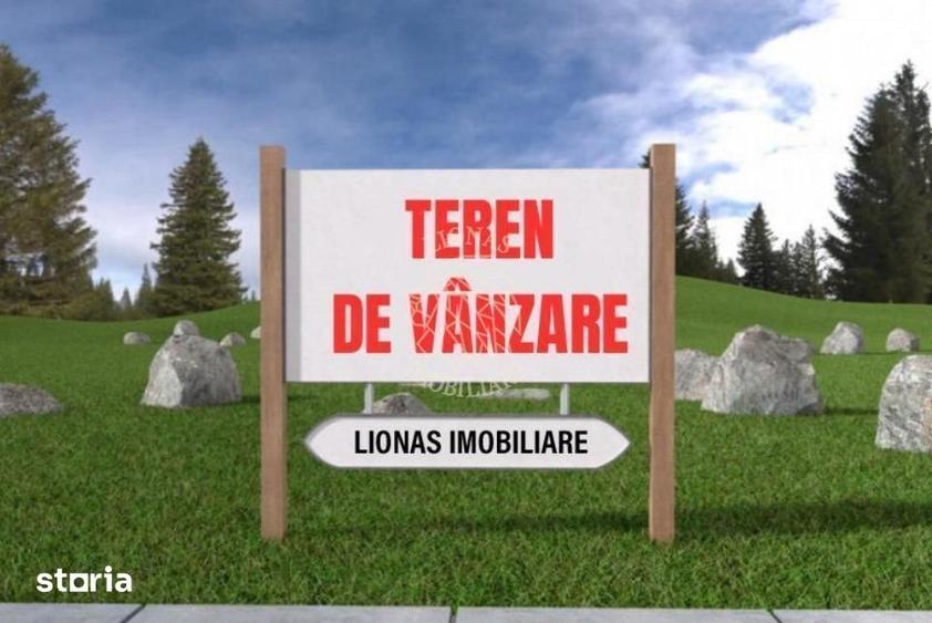 Teren de 2900 mp, în Viișoara