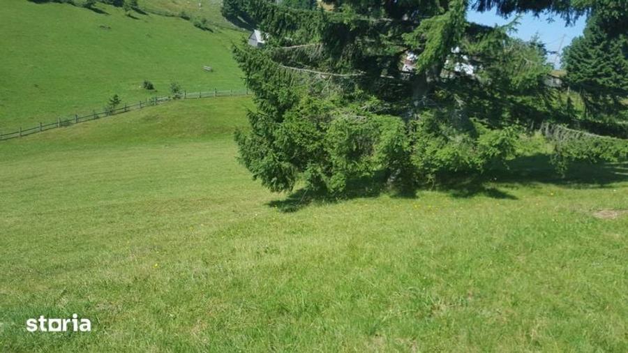 Teren de 7000 mp, în Fundata