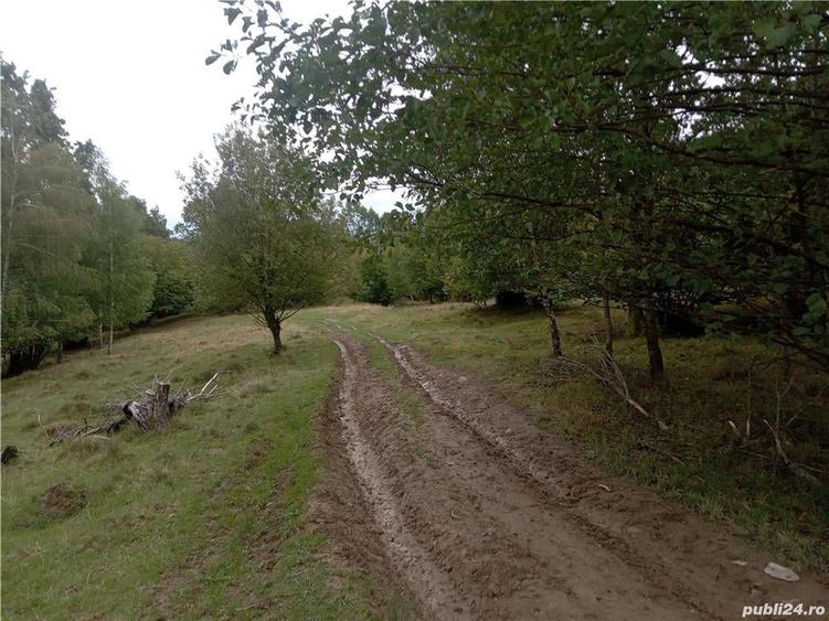 Teren de 16800 mp, în Central