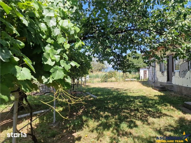 Casa traditionala, cu 2.000mp teren roditor, Izvoarele, Prahova - 8