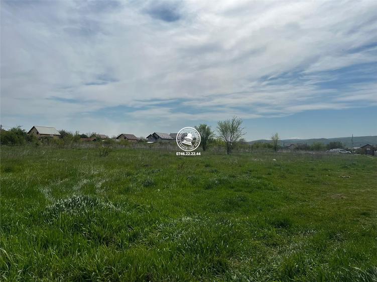 Teren de vanzare in Dancu - 2