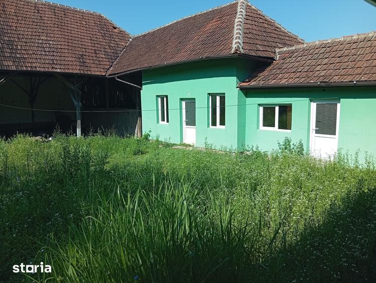 Casă cu 4 camere cu Teren 2877 Mp în Brazii