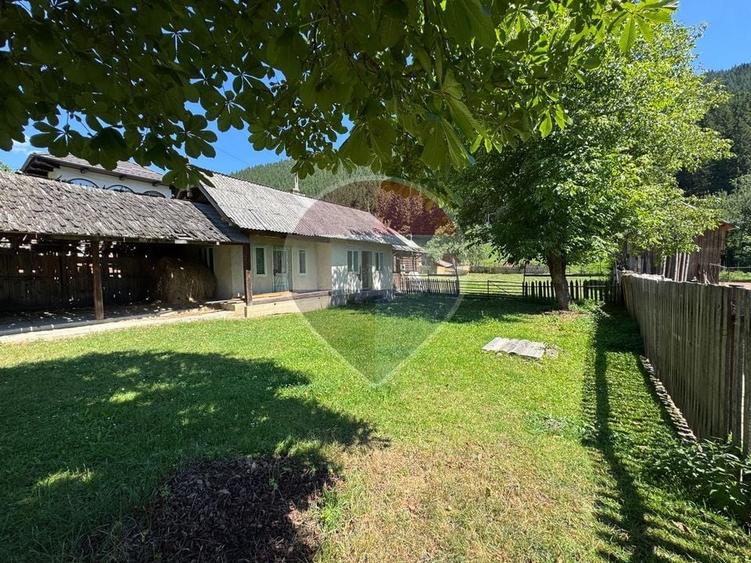 De vanzare | Teren 5412mp , Scoala Sabasa | Borca | Neamt - 11