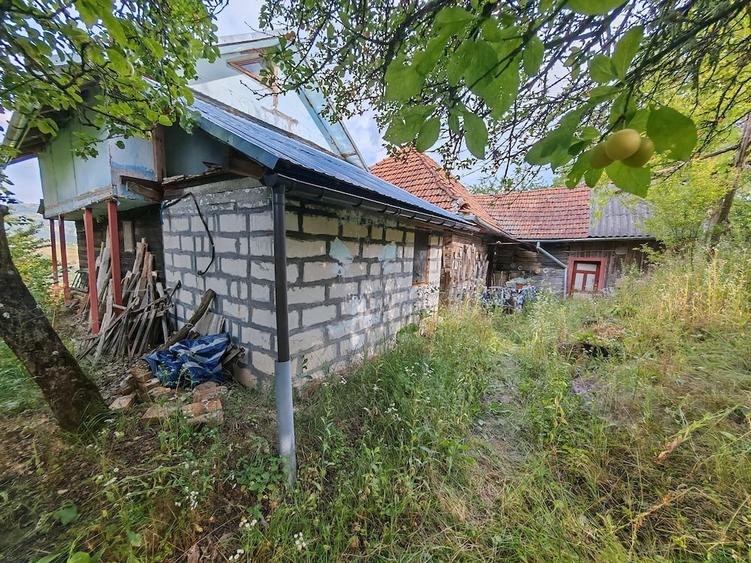 Casă cu 5 camere cu Teren 23000 Mp în Blăjeni