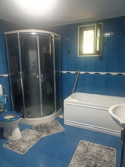 Casă cu Teren 1577 Mp în Dorobanțu