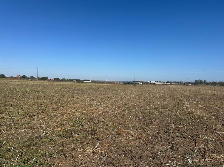 Teren Construcții extravilan de 10000 mp, în Tuzla
