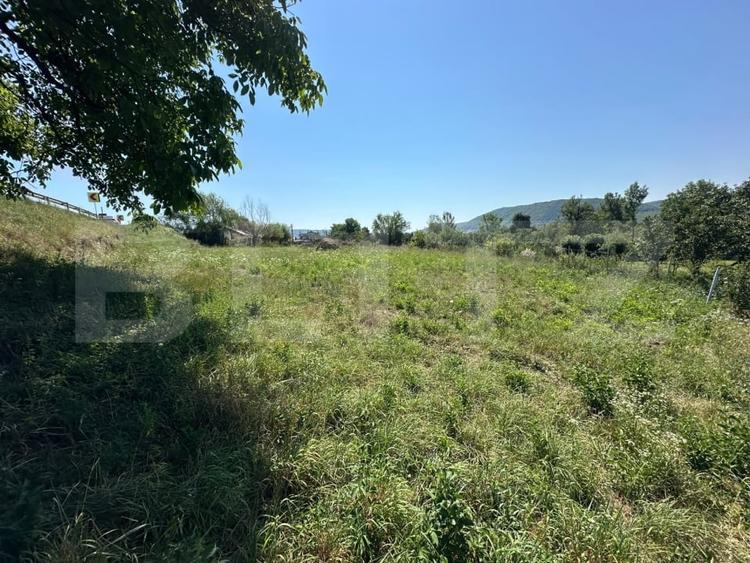 Teren Construcții intravilan de 1400 mp, în Crainimăt