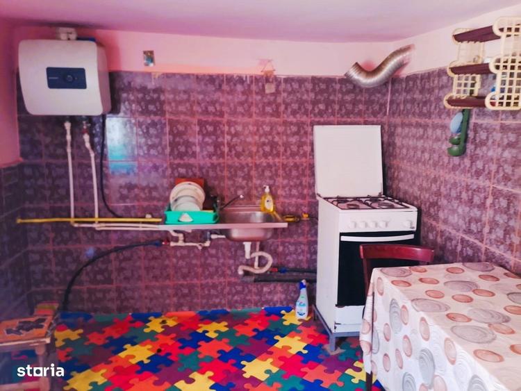Casă cu 3 camere cu Teren 4302 Mp în Pleșoiu