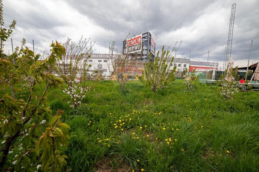Hotel/Pensiune, de 472 mp, în Central