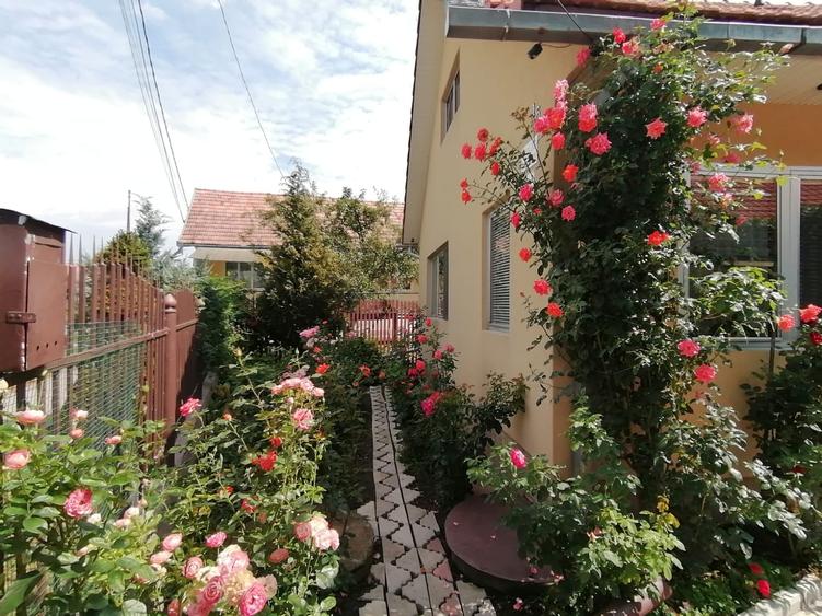 Casă individuală cu 3 camere cu Canalizare în Petelea