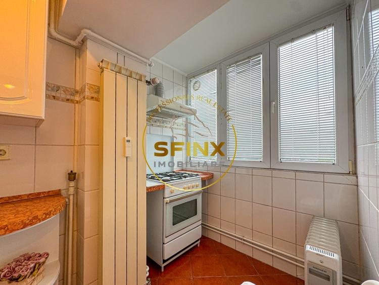 Duplex complet mobilat Bd Unirii | loc de parcare - 8
