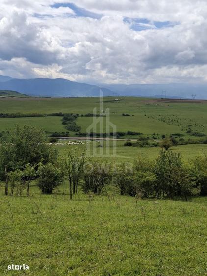 Teren de 11500 mp, în Roșia