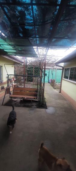 Casă individuală cu 7 camere cu Teren 660 Mp în Palazu Mare