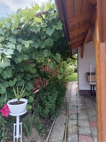 Casa 4 camere Labu?e?ti 160 mp utili , 600 mp teren - 8