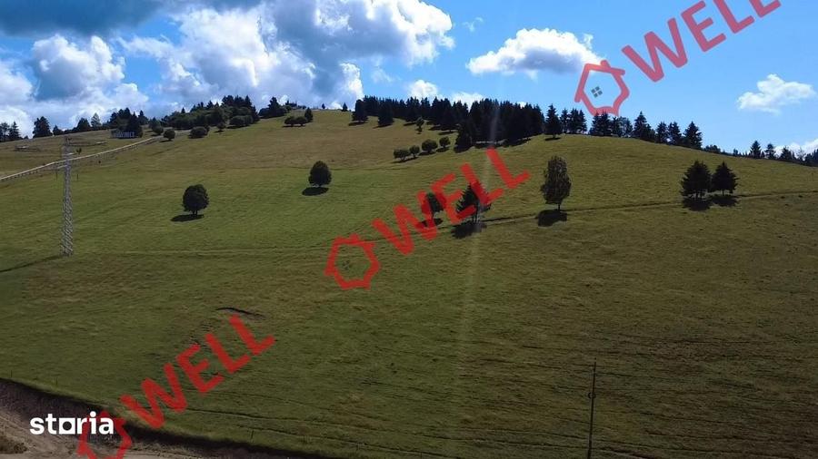 Teren de 109371 mp, în Lunca de Sus
