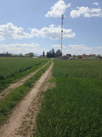 Teren agricol extravilan de 7300 mp, în Chichiș